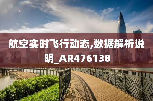 航空实时飞行动态,数据解析说明_AR476138