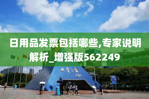 日用品发票包括哪些,专家说明解析_增强版562249