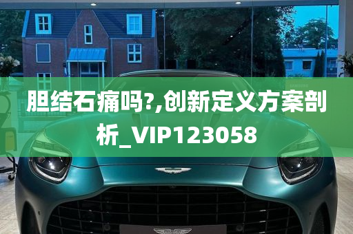 胆结石痛吗?,创新定义方案剖析_VIP123058