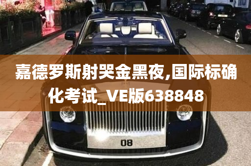 嘉德罗斯射哭金黑夜,国际标确化考试_VE版638848