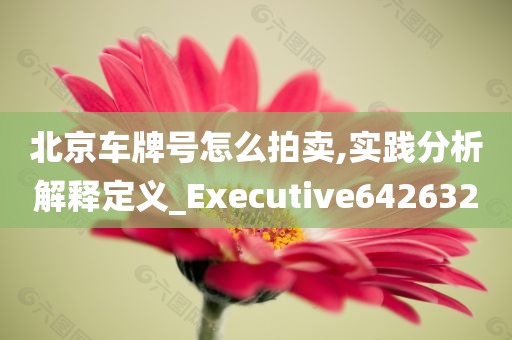 北京车牌号怎么拍卖,实践分析解释定义_Executive642632