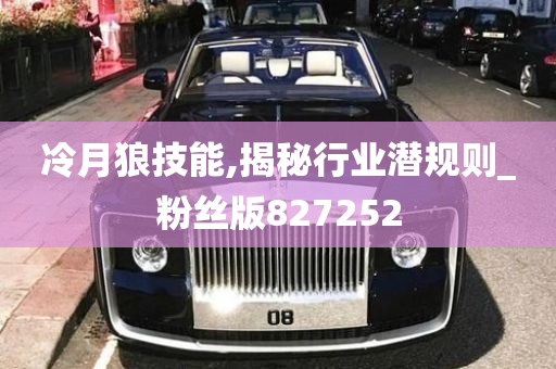 冷月狼技能,揭秘行业潜规则_粉丝版827252