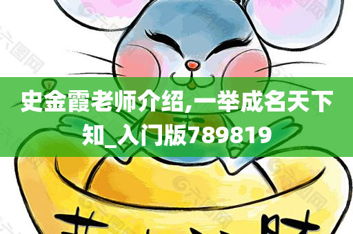 史金霞老师介绍,一举成名天下知_入门版789819