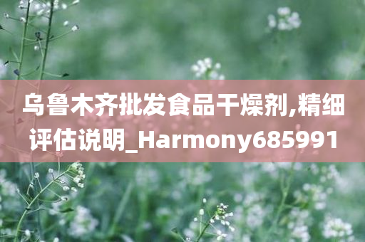 乌鲁木齐批发食品干燥剂,精细评估说明_Harmony685991