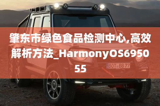 肇东市绿色食品检测中心,高效解析方法_HarmonyOS695055