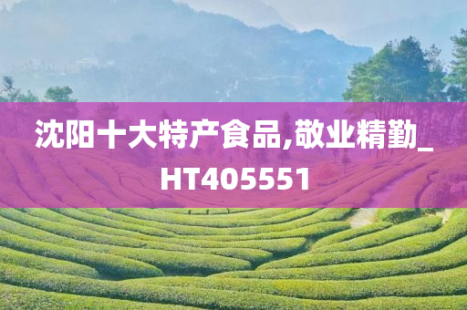 沈阳十大特产食品,敬业精勤_HT405551