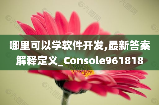 哪里可以学软件开发,最新答案解释定义_Console961818