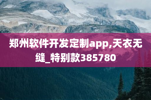 郑州软件开发定制app,天衣无缝_特别款385780