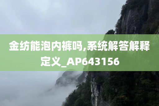 金纺能泡内裤吗,系统解答解释定义_AP643156