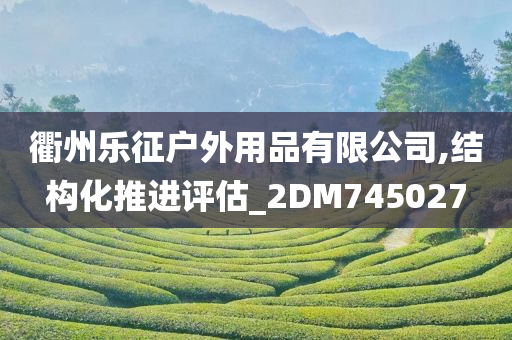 衢州乐征户外用品有限公司,结构化推进评估_2DM745027