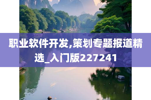 职业软件开发,策划专题报道精选_入门版227241