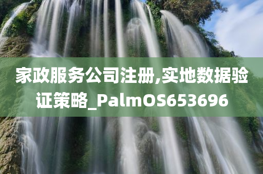 家政服务公司注册,实地数据验证策略_PalmOS653696