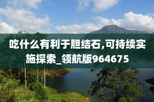 吃什么有利于胆结石,可持续实施探索_领航版964675