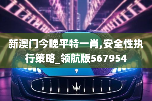 新澳门今晚平特一肖,安全性执行策略_领航版567954