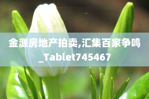 金源房地产拍卖,汇集百家争鸣_Tablet745467