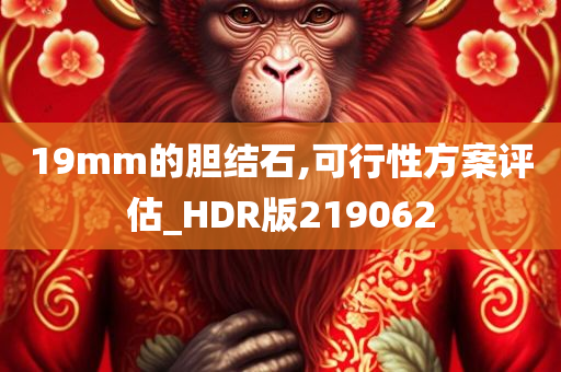 19mm的胆结石,可行性方案评估_HDR版219062