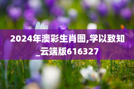 2024年澳彩生肖图,学以致知_云端版616327