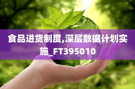 食品进货制度,深层数据计划实施_FT395010