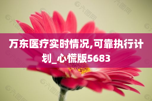 万东医疗实时情况,可靠执行计划_心慌版5683