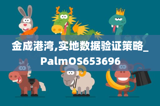 金成港湾,实地数据验证策略_PalmOS653696