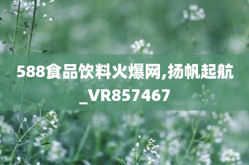 588食品饮料火爆网,扬帆起航_VR857467