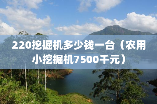 220挖掘机多少钱一台（农用小挖掘机7500千元）