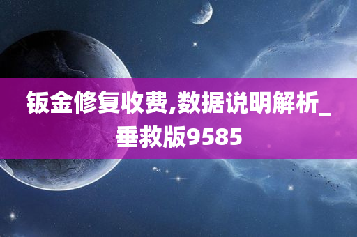 钣金修复收费,数据说明解析_垂救版9585