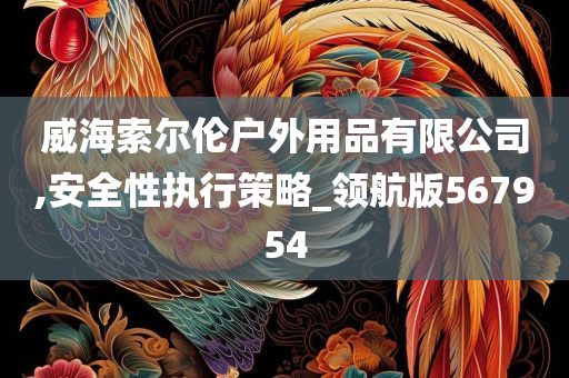 威海索尔伦户外用品有限公司,安全性执行策略_领航版567954