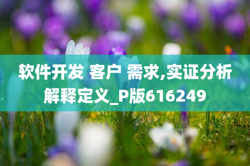 软件开发 客户 需求,实证分析解释定义_P版616249