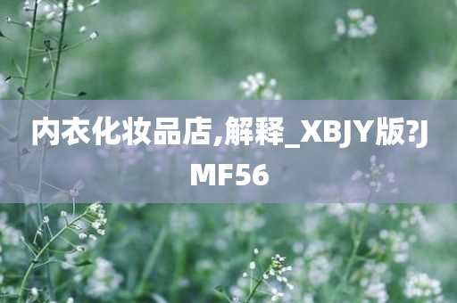 内衣化妆品店,解释_XBJY版?JMF56