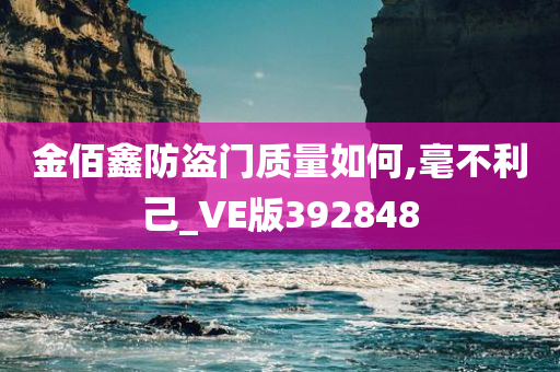 金佰鑫防盗门质量如何,毫不利己_VE版392848