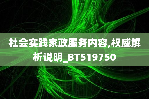 社会实践家政服务内容,权威解析说明_BT519750