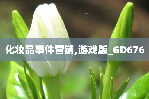 化妆品事件营销,游戏版_GD676