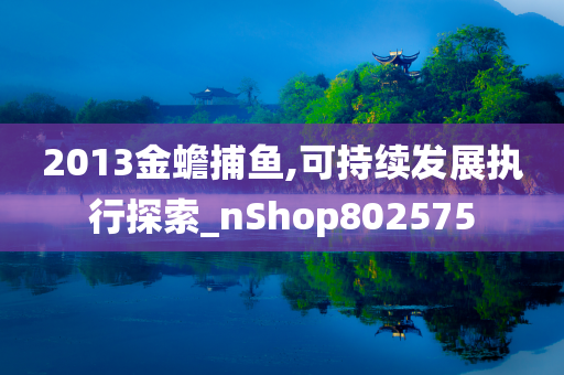 2013金蟾捕鱼,可持续发展执行探索_nShop802575