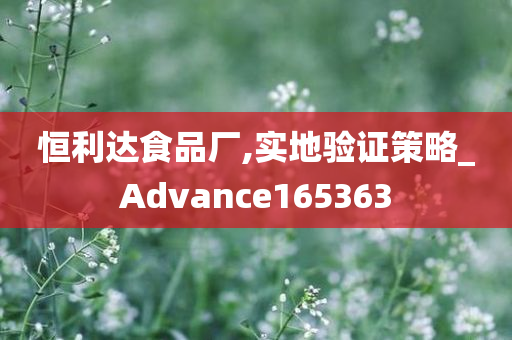 恒利达食品厂,实地验证策略_Advance165363