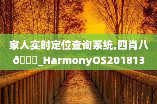 家人实时定位查询系统,四肖八🐎_HarmonyOS201813