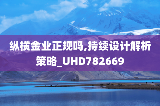 纵横金业正规吗,持续设计解析策略_UHD782669