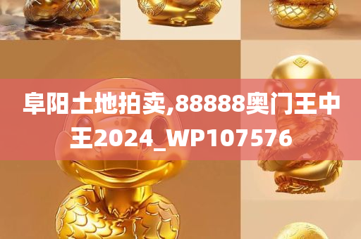 阜阳土地拍卖,88888奥门王中王2024_WP107576