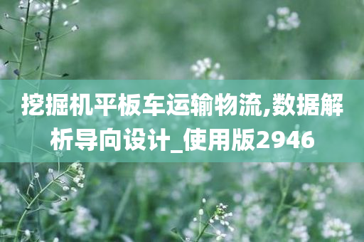 挖掘机平板车运输物流,数据解析导向设计_使用版2946