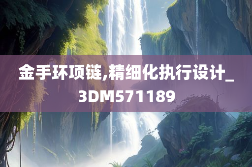 金手环项链,精细化执行设计_3DM571189