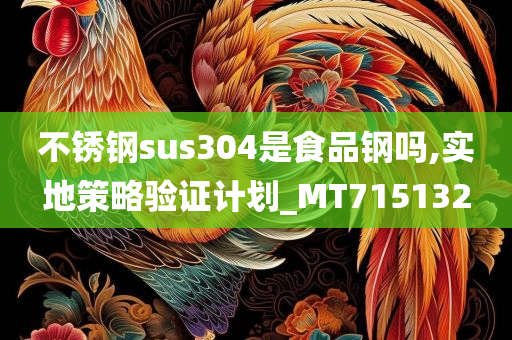 不锈钢sus304是食品钢吗,实地策略验证计划_MT715132