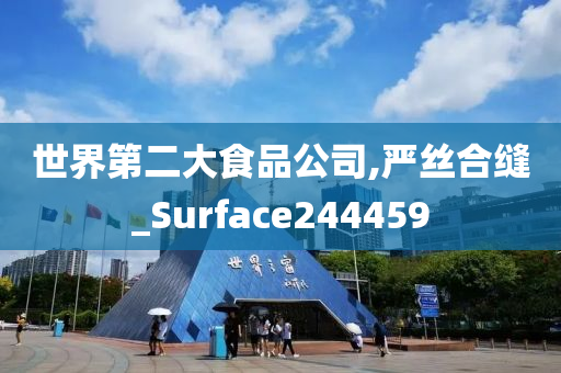 世界第二大食品公司,严丝合缝_Surface244459