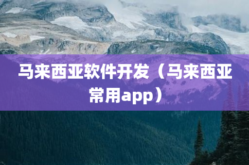 马来西亚软件开发（马来西亚常用app）