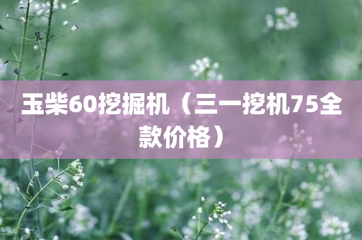 玉柴60挖掘机（三一挖机75全款价格）