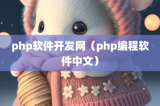 php软件开发网（php编程软件中文）