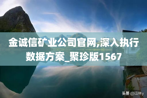 金诚信矿业公司官网,深入执行数据方案_聚珍版1567