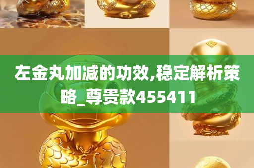 左金丸加减的功效,稳定解析策略_尊贵款455411