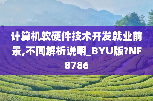 计算机软硬件技术开发就业前景,不同解析说明_BYU版?NF8786