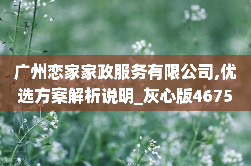 广州恋家家政服务有限公司,优选方案解析说明_灰心版4675