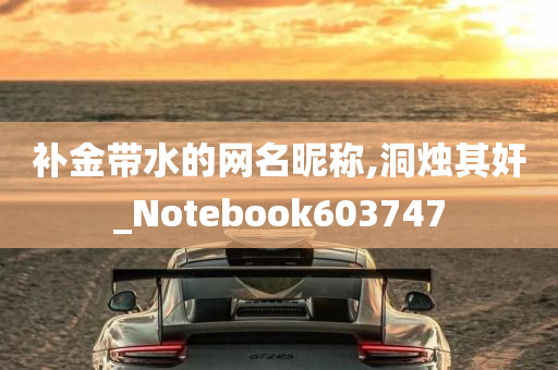 补金带水的网名昵称,洞烛其奸_Notebook603747